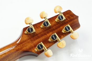 P4DC - Natural Gloss